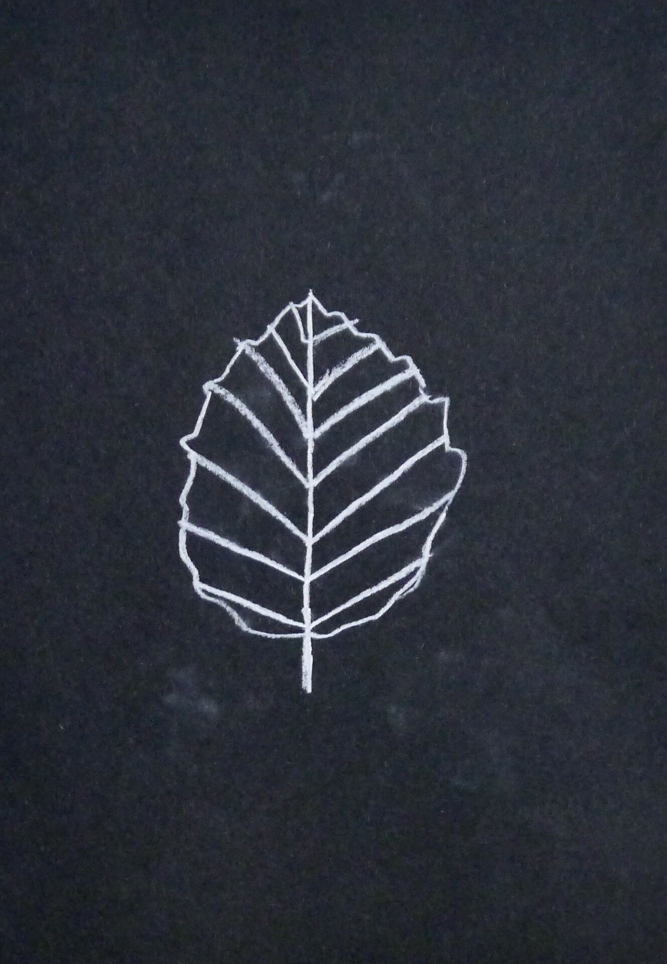 Leaves - Leaf - 34